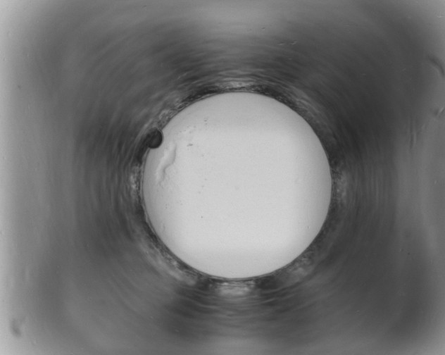 X0000102780373200808180937