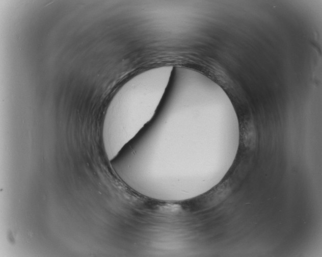 X0000102780374200808180937