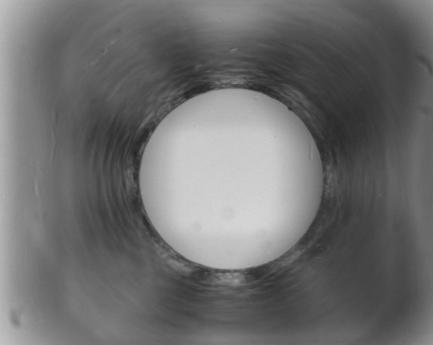 X0000102780377200808180937