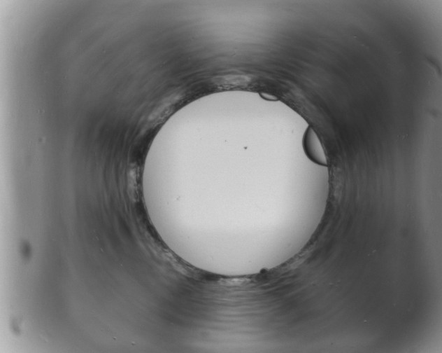 X0000102780378200808180937