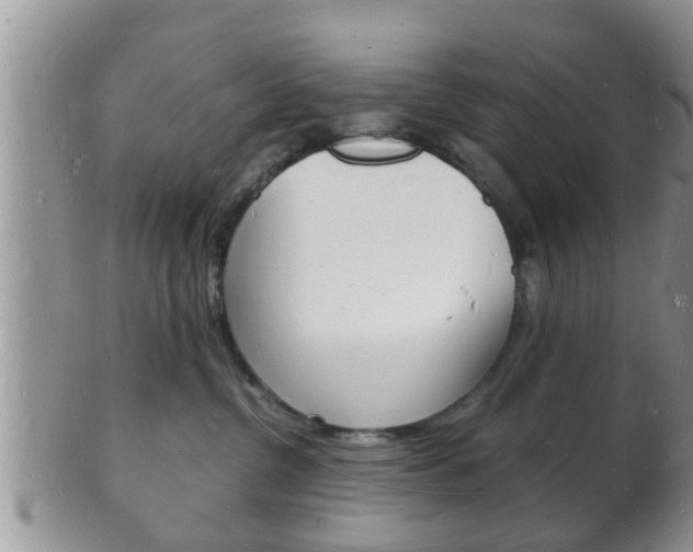 X0000102780380200808180937