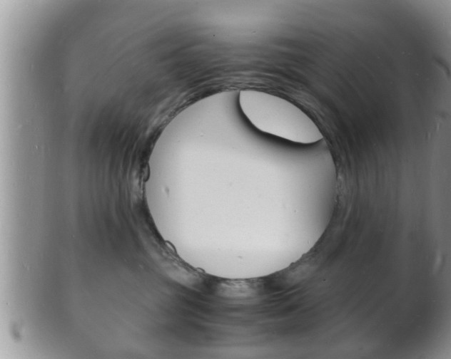 X0000102780381200808180937