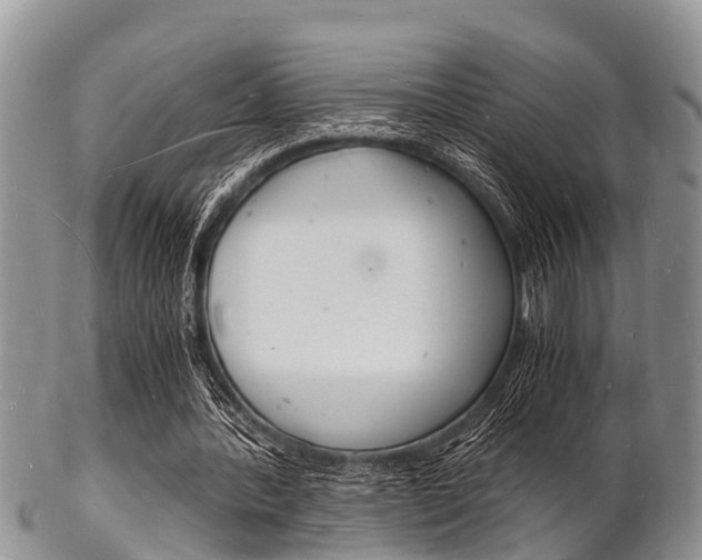X0000102780388200808180936