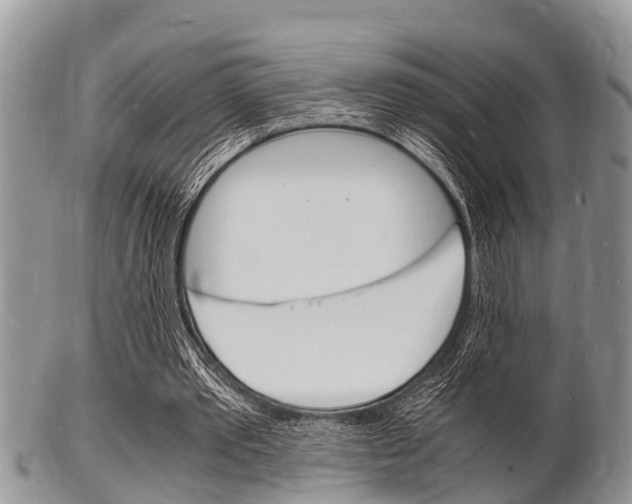 X0000102780389200808180936
