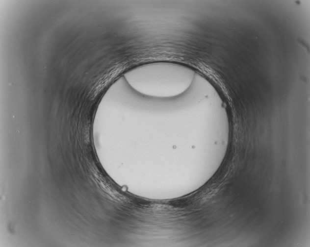 X0000102780393200808180936