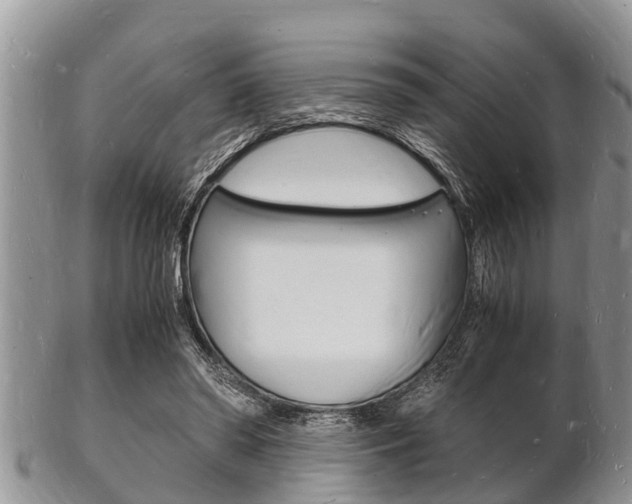 X0000102780398200808180936