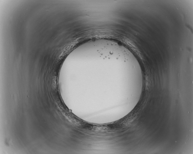 X0000102780401200808180936