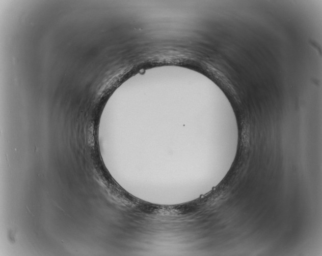X0000102780403200808180936