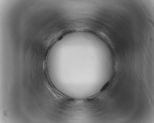 X0000102780405200808180936