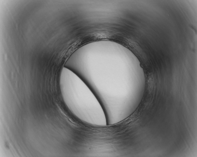 X0000102780406200808180936