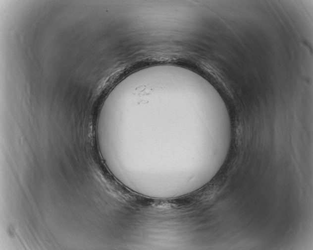 X0000102780407200808180936