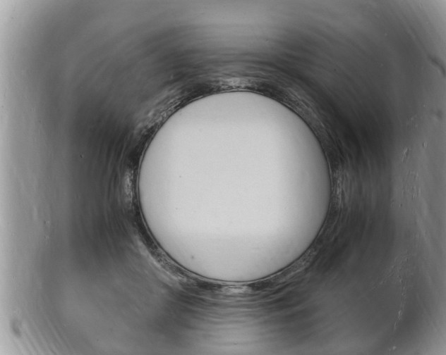 X0000102780410200808180936