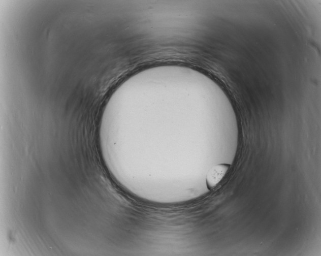 X0000102780411200808180936