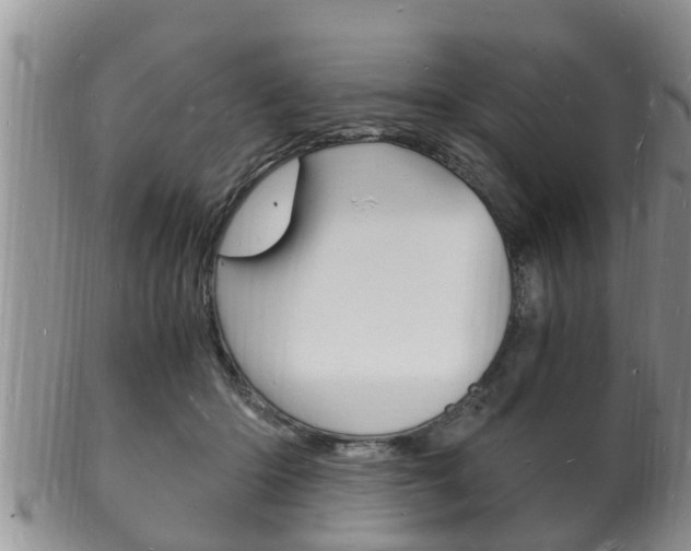 X0000102780414200808180936