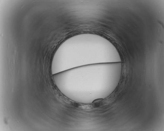 X0000102780417200808180936