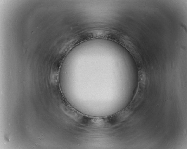 X0000102780419200808180936
