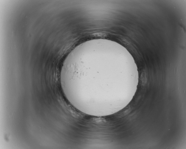 X0000102780424200808180935