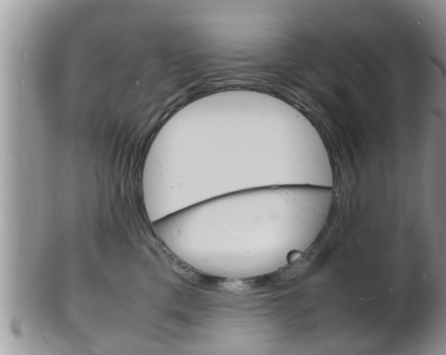 X0000102780425200808180935