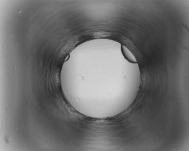 X0000102780426200808180935