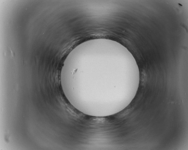 X0000102780428200808180935