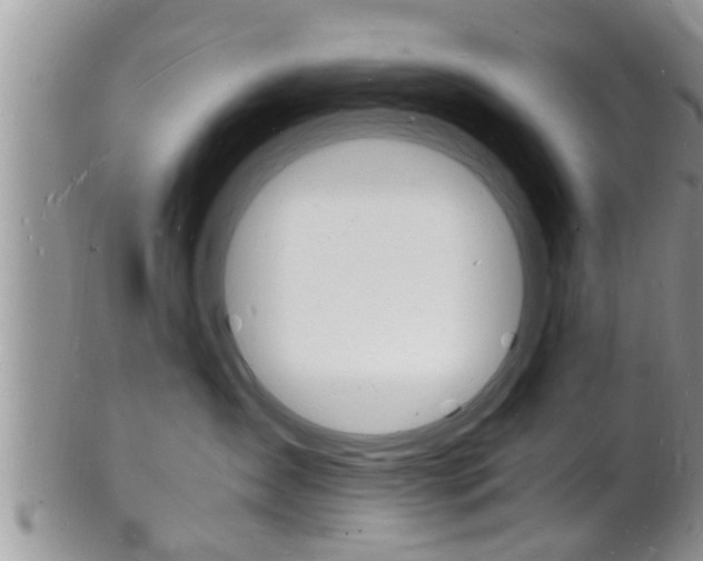 X0000102780431200808180935
