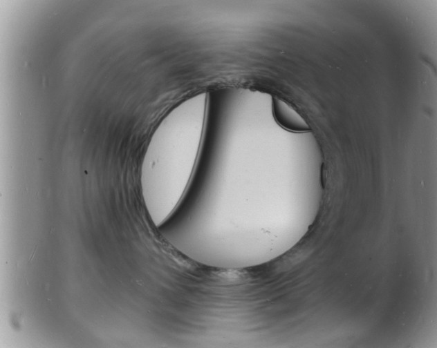 X0000102780432200808180935