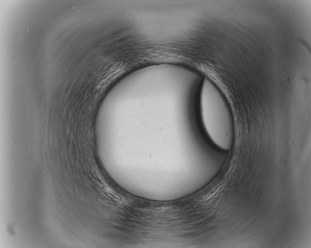 X0000102780433200808180935