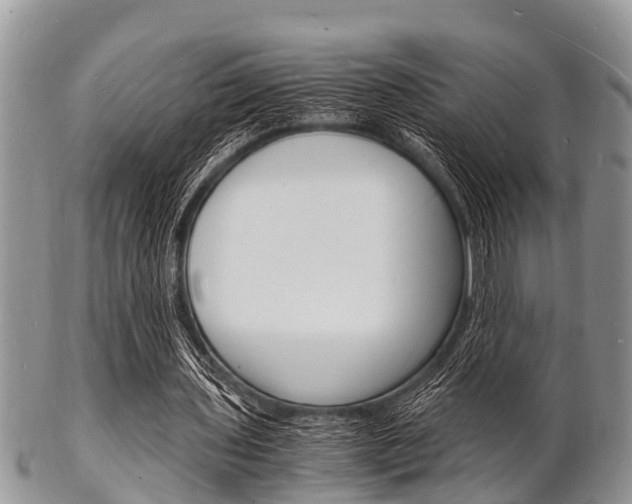 X0000102780435200808180935