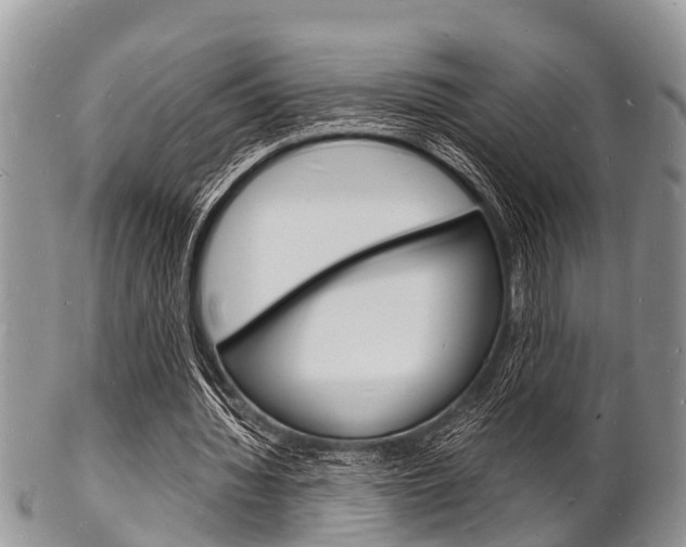 X0000102780436200808180935