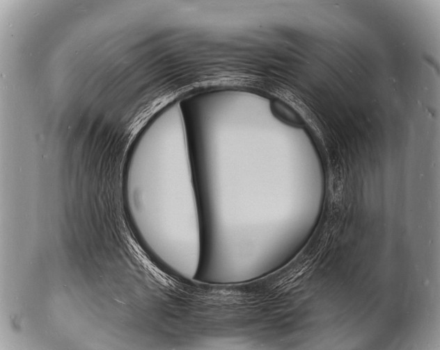 X0000102780437200808180935