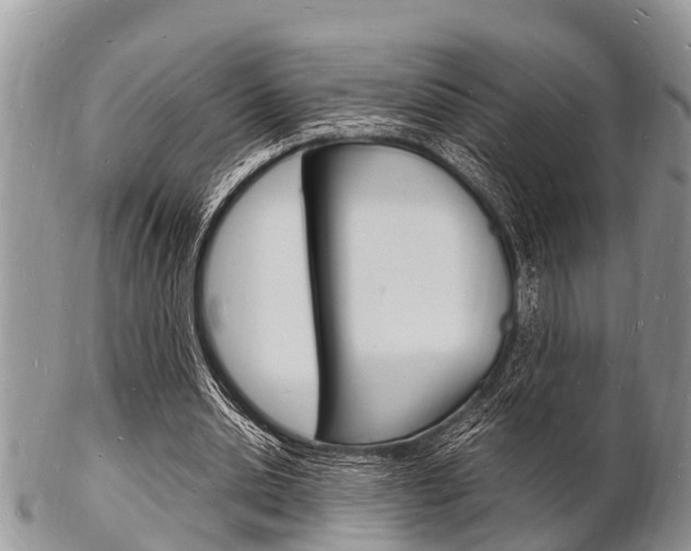 X0000102780438200808180935