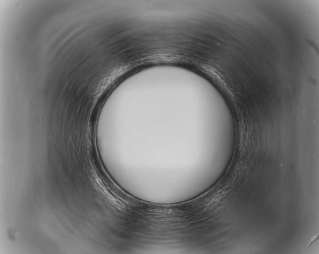 X0000102780439200808180935