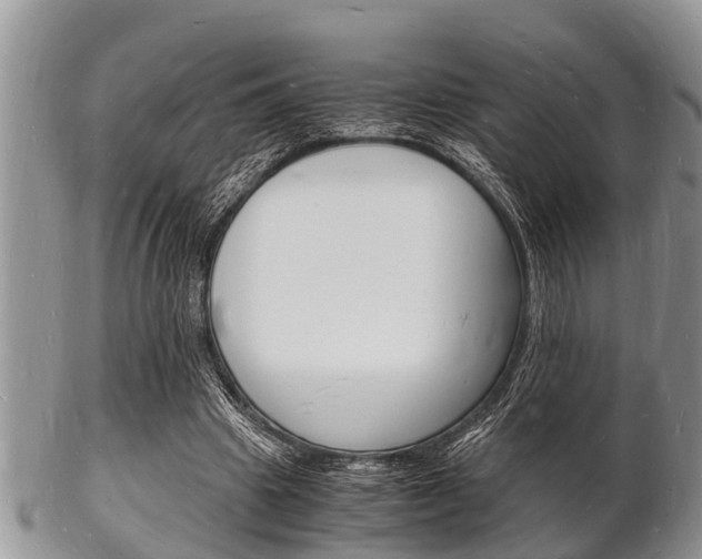 X0000102780441200808180935