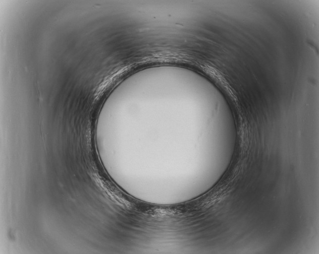 X0000102780442200808180935