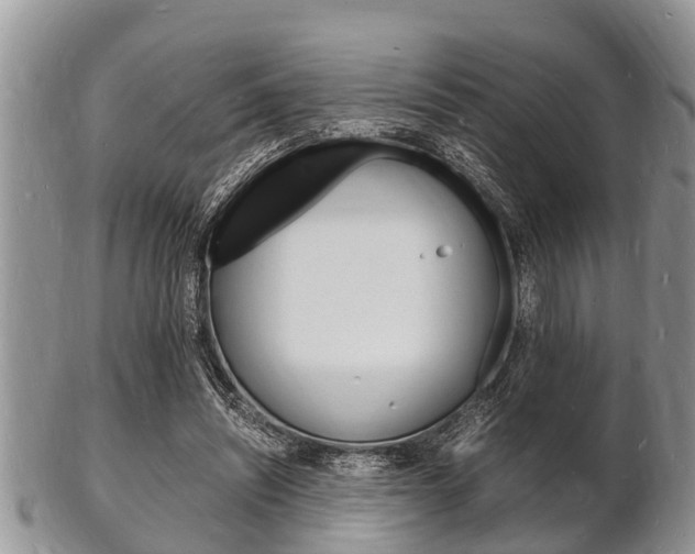 X0000102780444200808180935