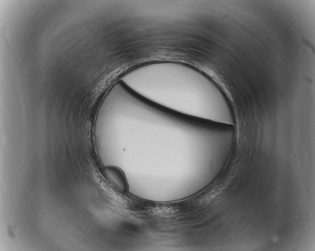 X0000102780445200808180935