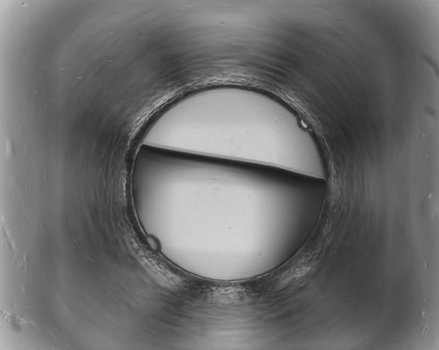X0000102780446200808180935