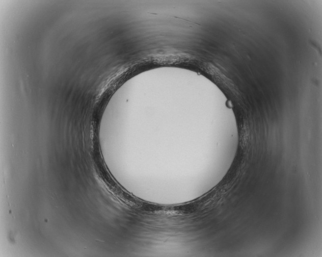 X0000102780448200808180935