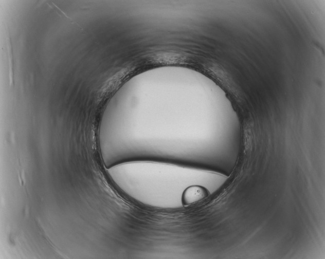 X0000102780453200808180935