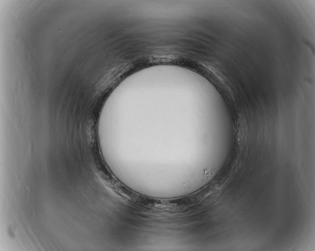 X0000102780455200808180935