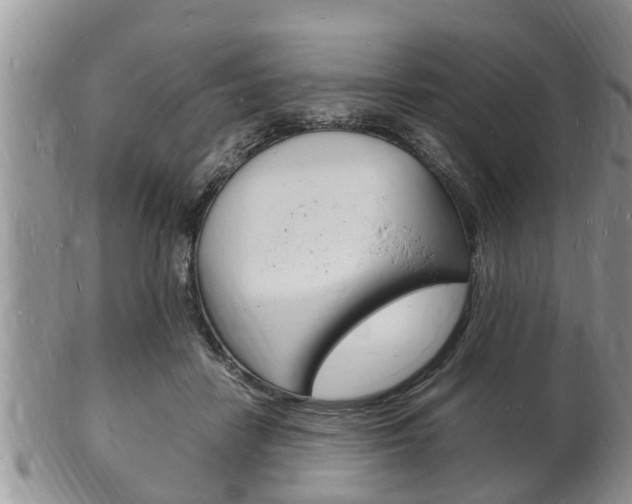 X0000102780458200808180935