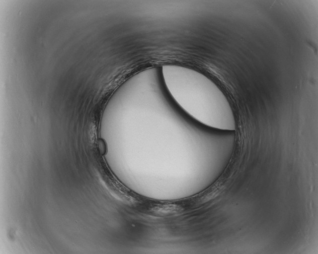 X0000102780459200808180935