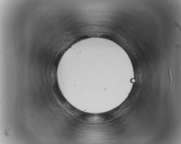 X0000102780460200808180935