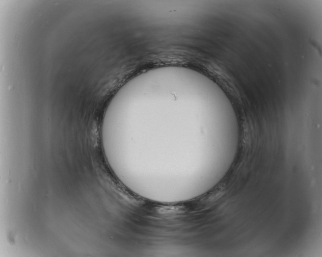 X0000102780465200808180935