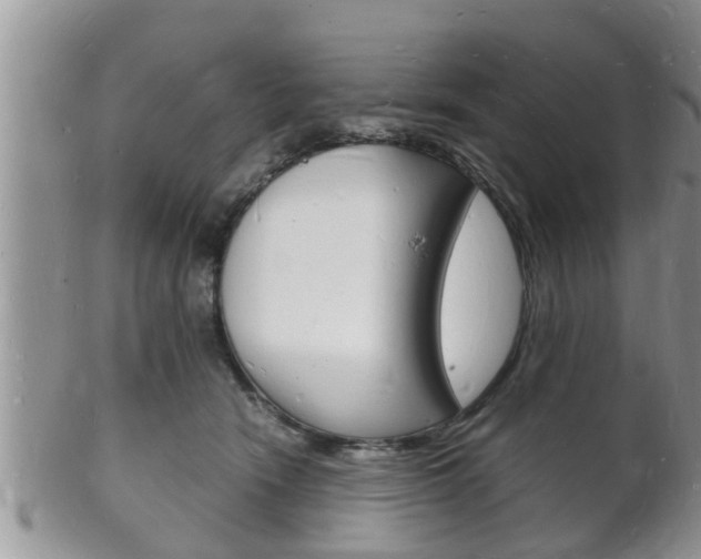 X0000102780466200808180935