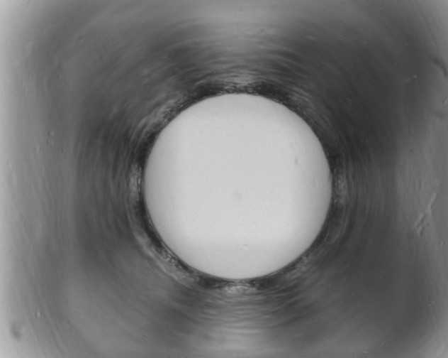 X0000102780468200808180935