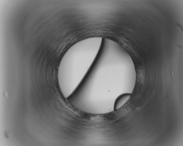 X0000102780470200808180935
