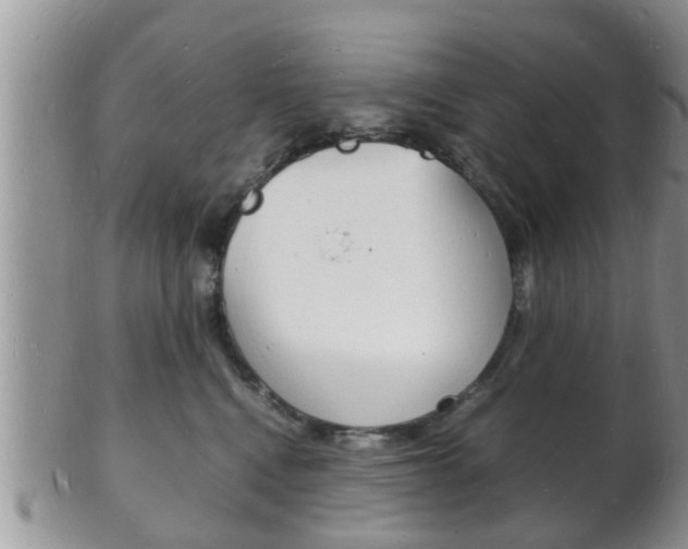X0000102780472200808180935