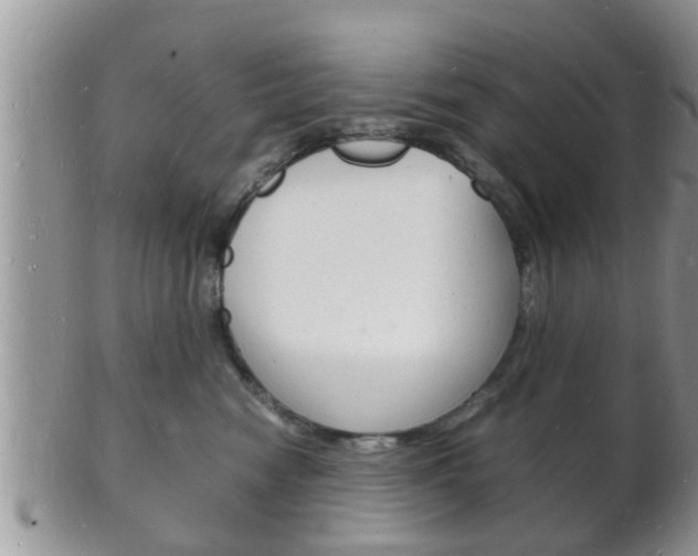 X0000102780474200808180935
