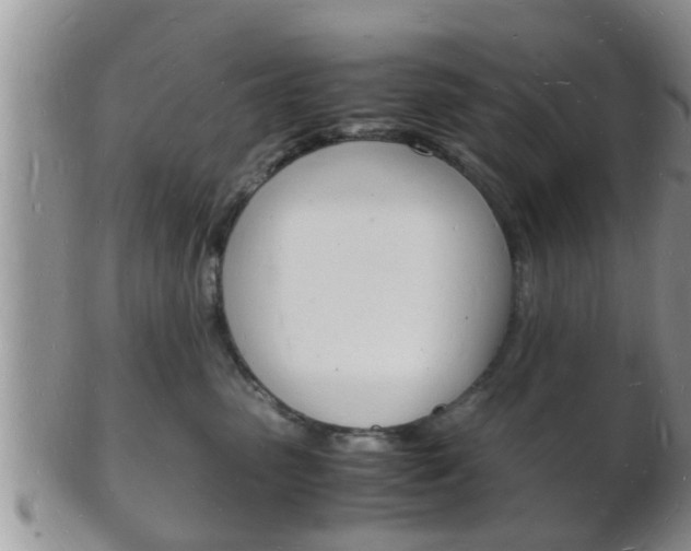 X0000102780475200808180935
